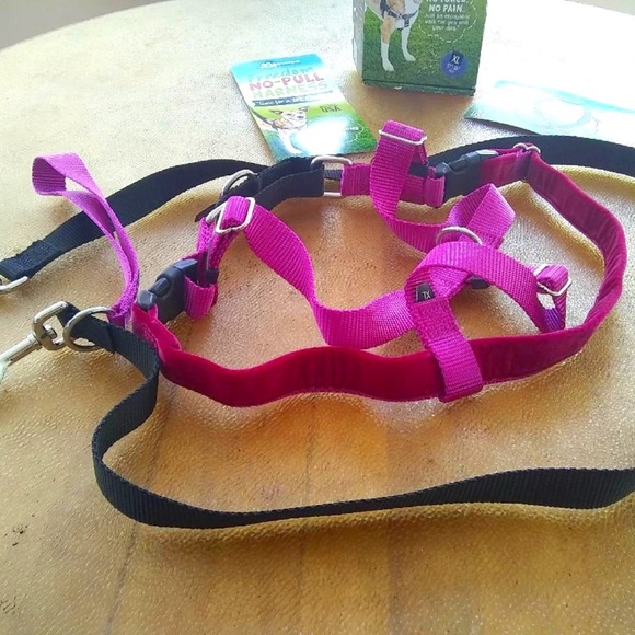 Dog Harness and Leash - XL - Picture 1 of 6